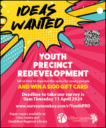 Youth Precinct Survey Flyer