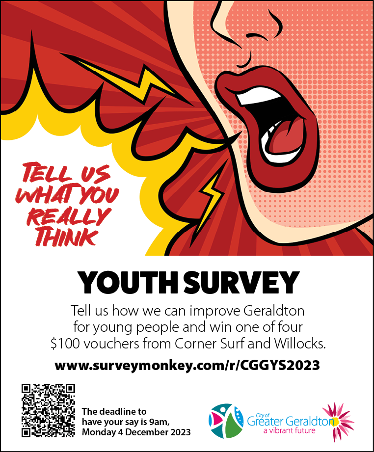 Youth Survey Poster