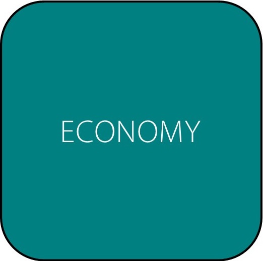 Economy Icon