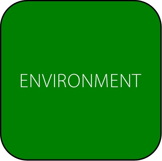 Environment Icon