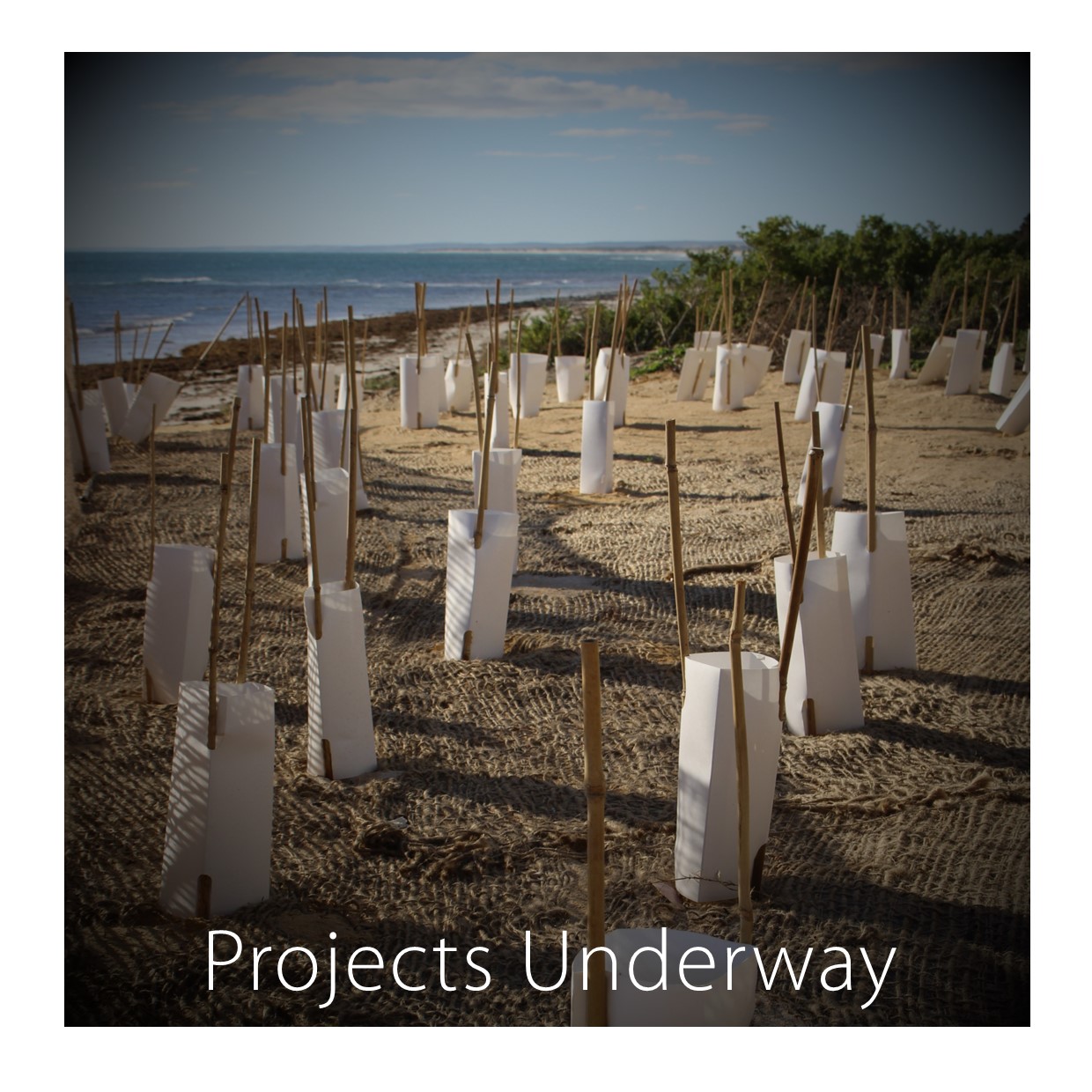Coastal Adaptation Projects currently underway