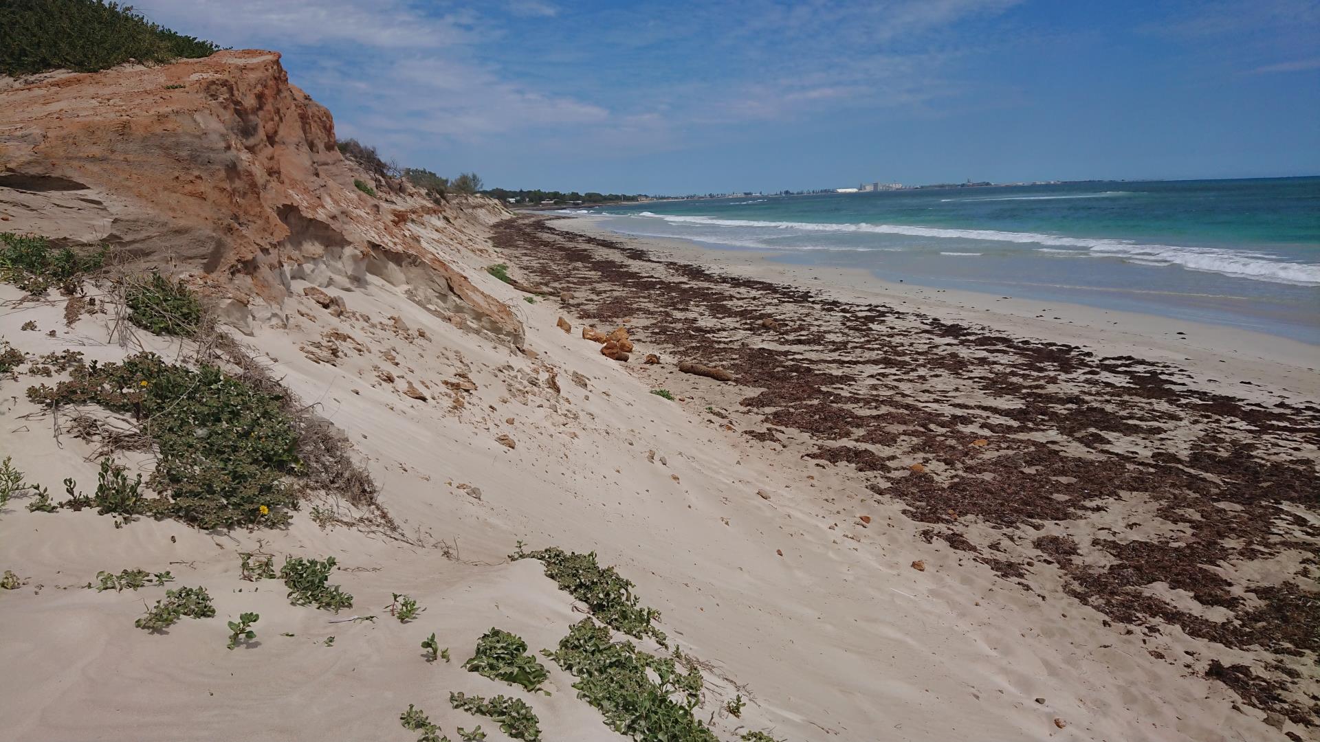 Image of Erosion at Sunset Beach