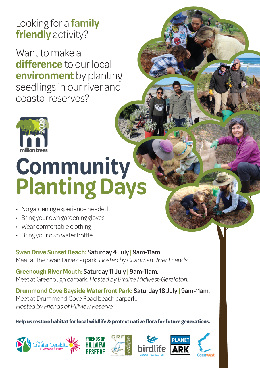 Planting Day Flyer