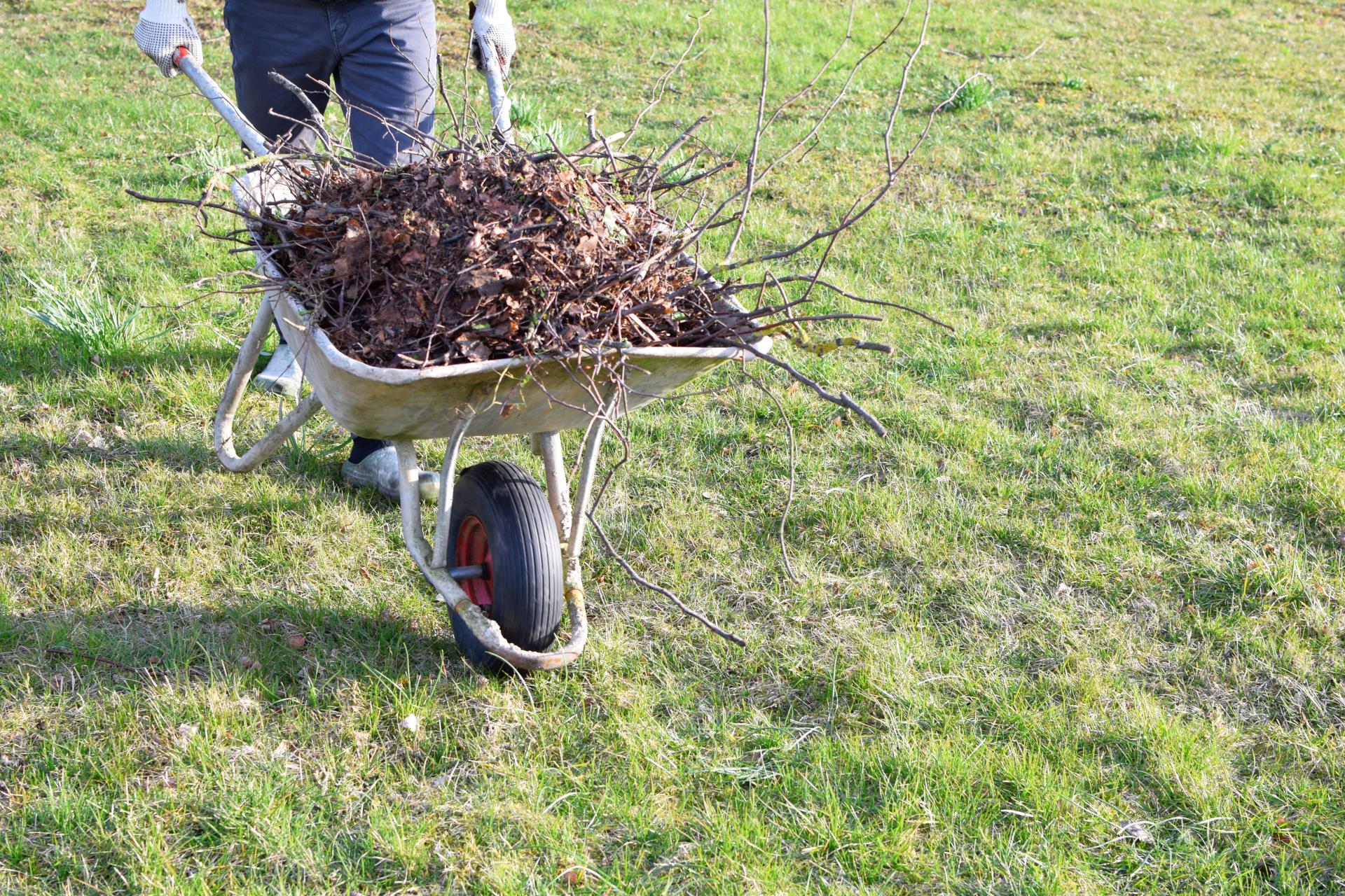 Carting away green waste