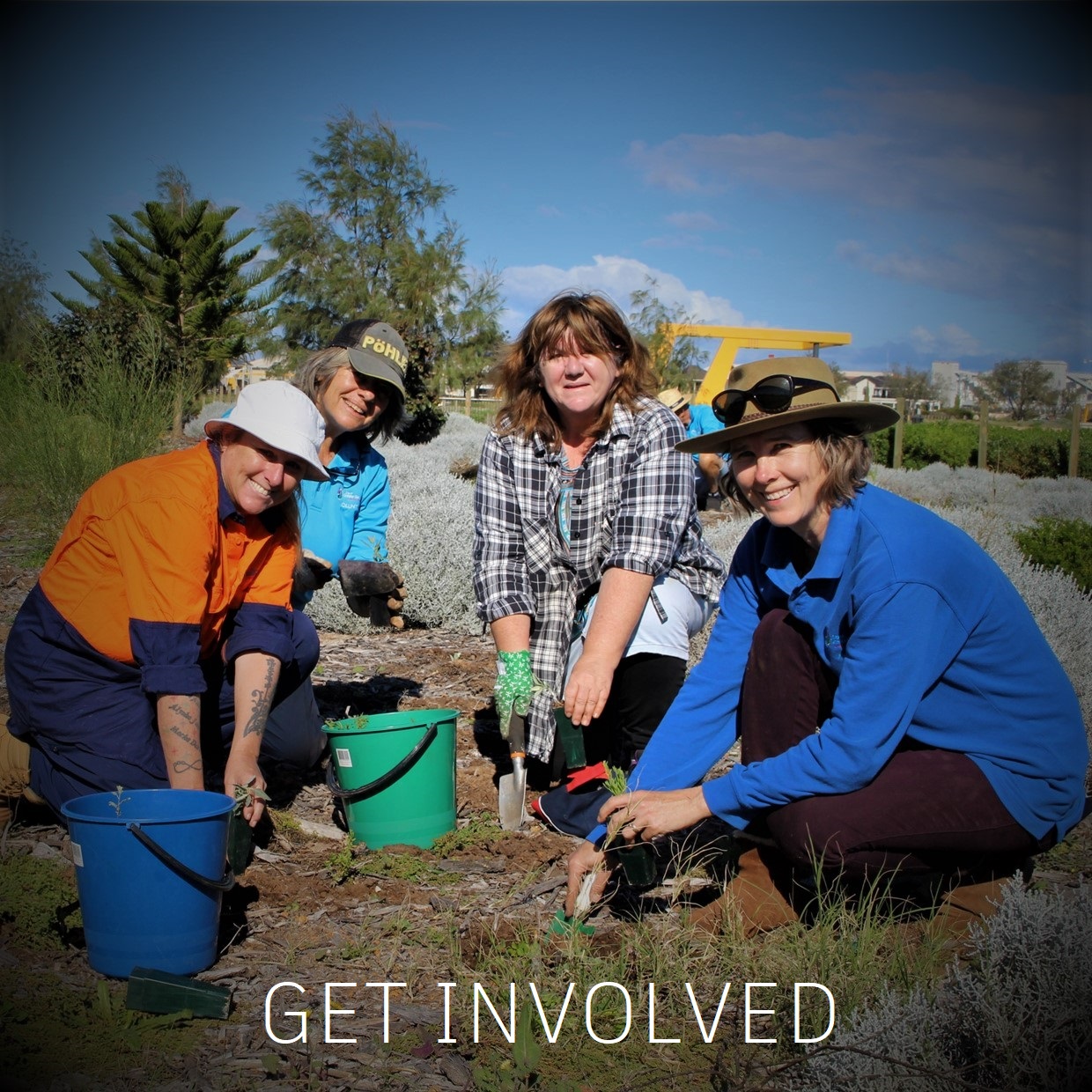 Foreshore Community Planting Day