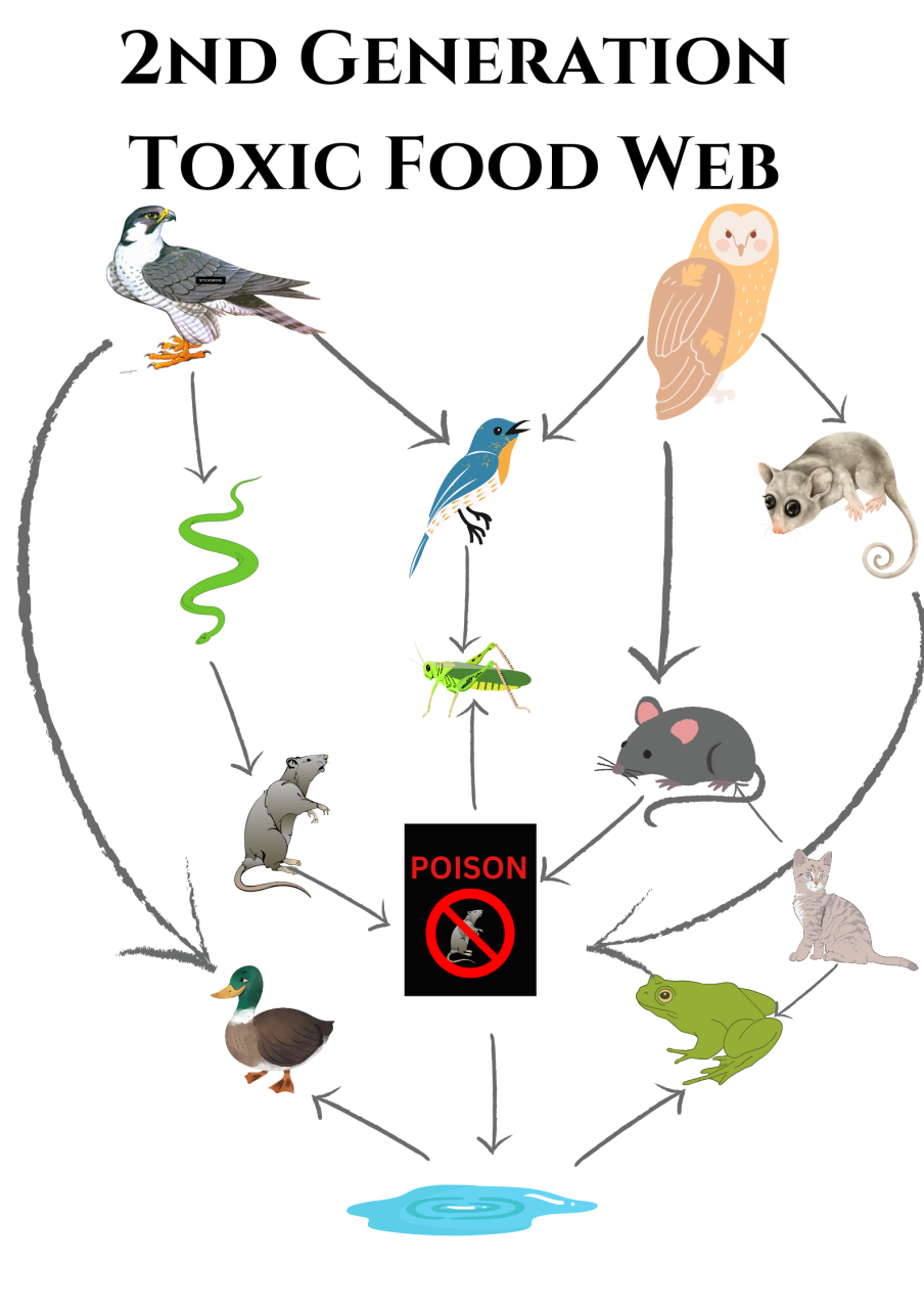 SGARs Toxic Food Web