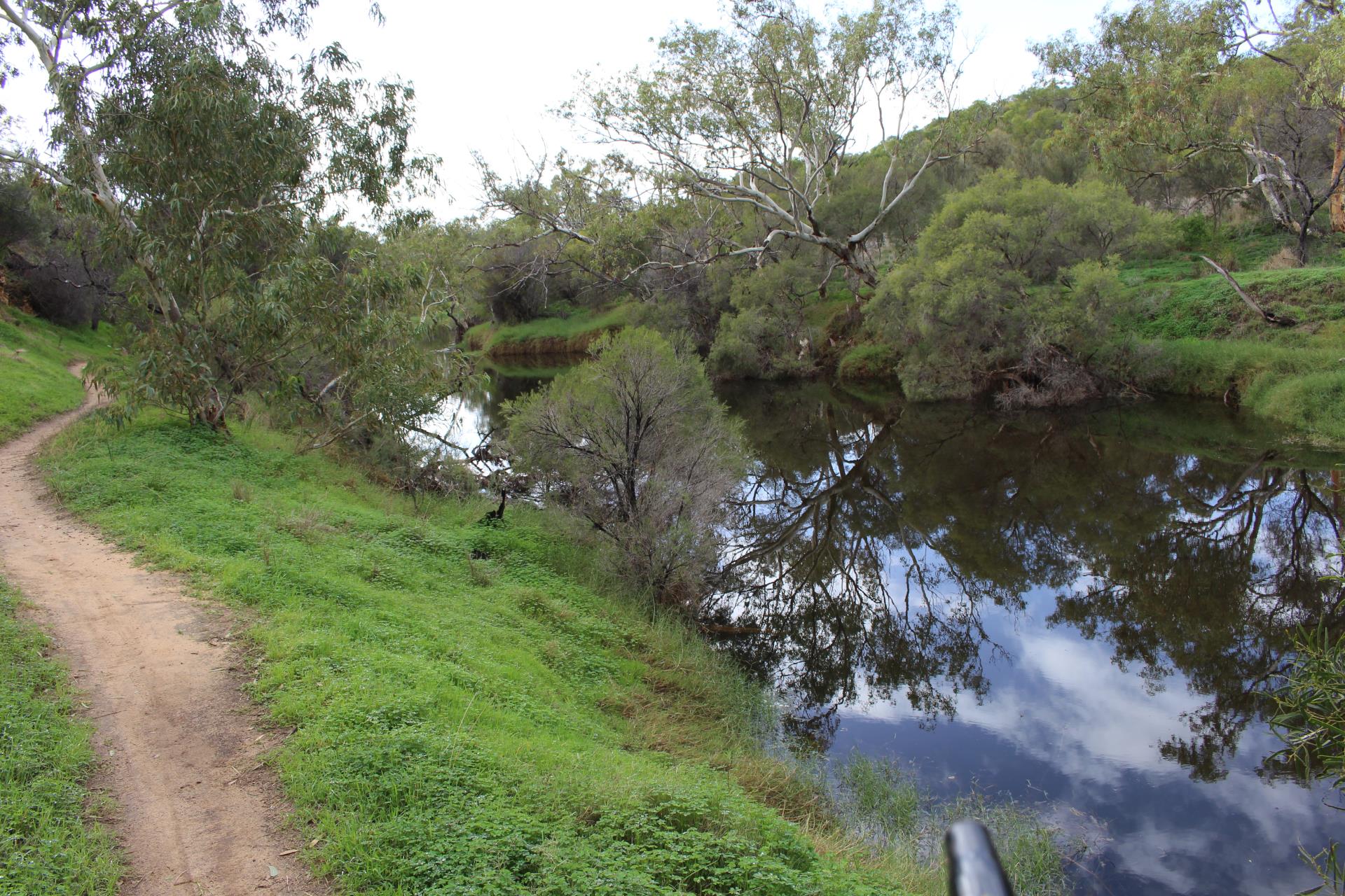 Chapman River