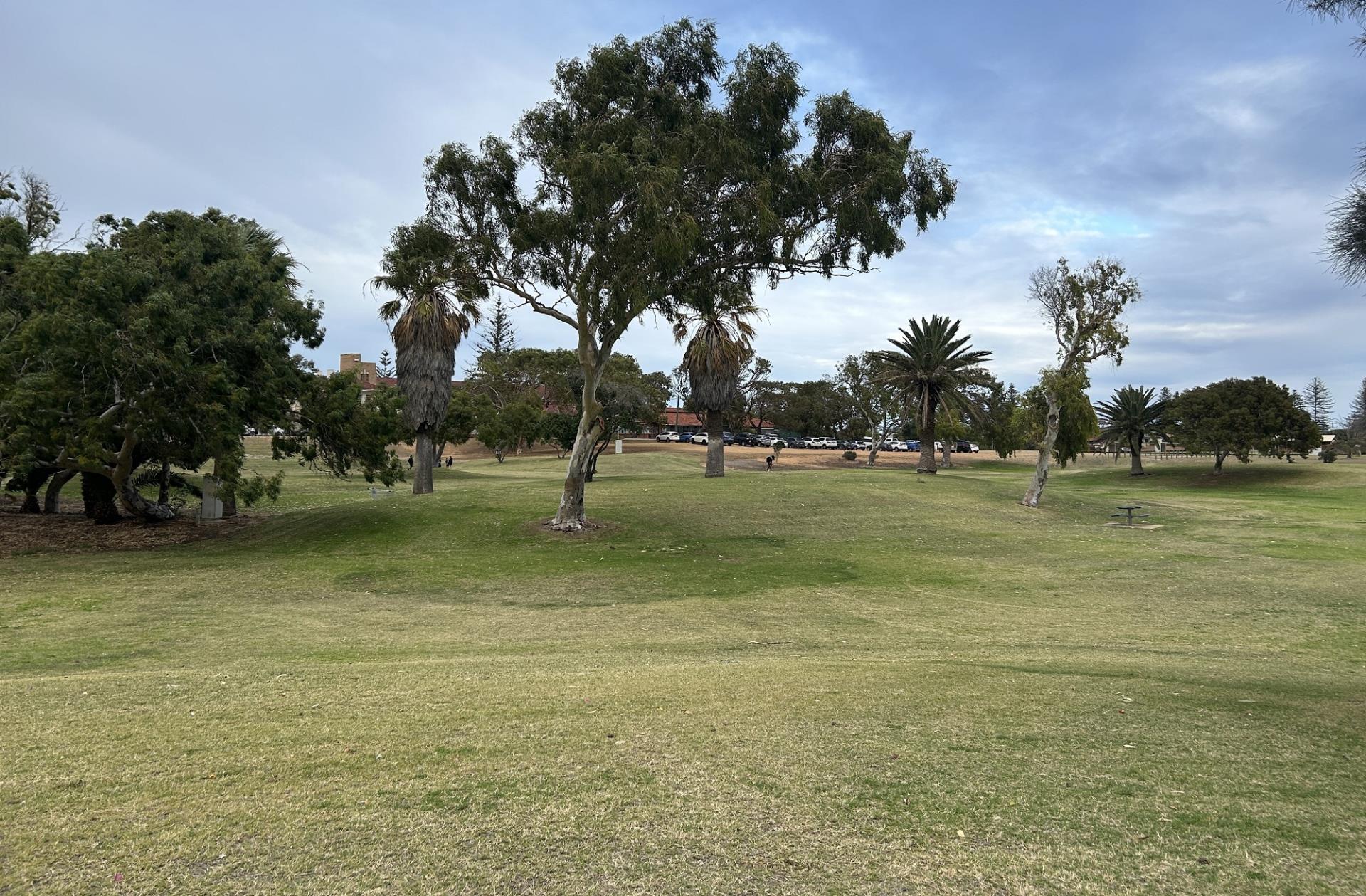 Maitland Park