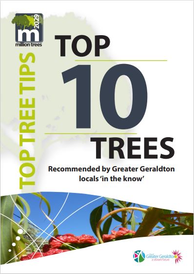 Top 10 Trees brochure