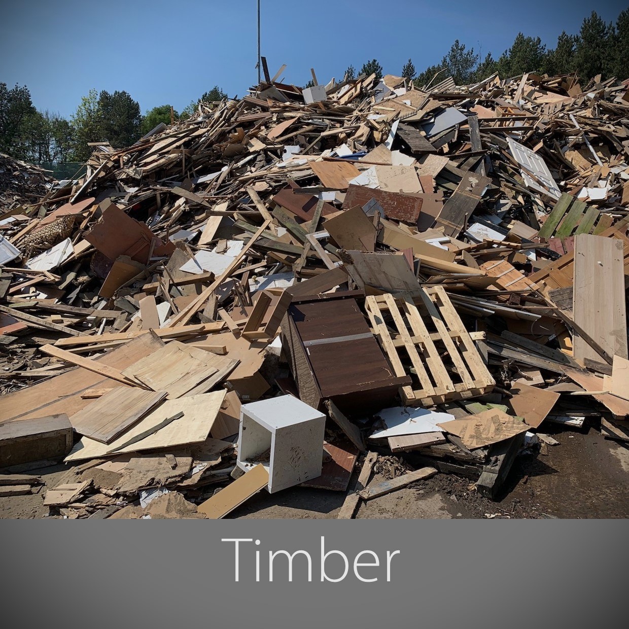 timber