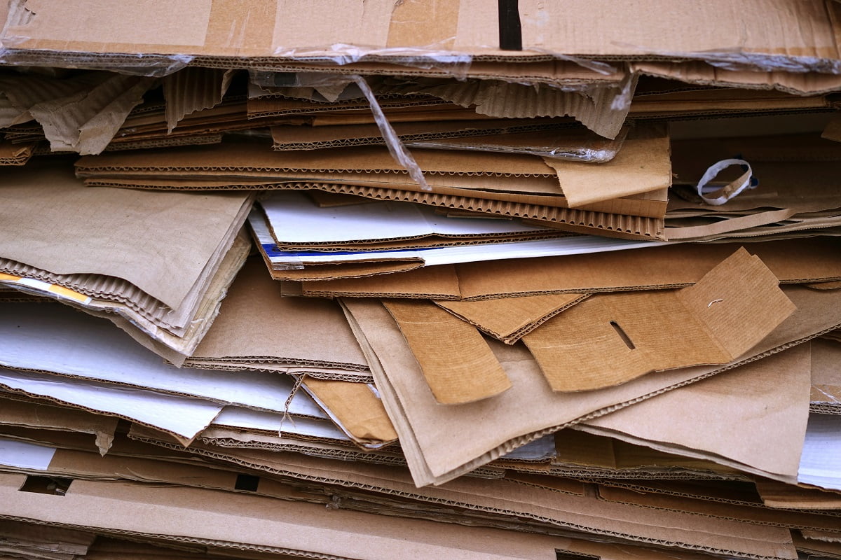 Cardboard