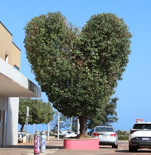 Love Heart Tree