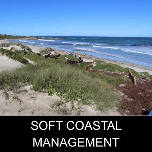 Soft Coastal Management