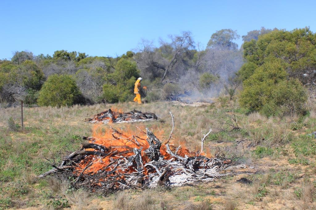 Byne Park biodiversity burn