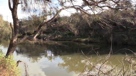Chapman River