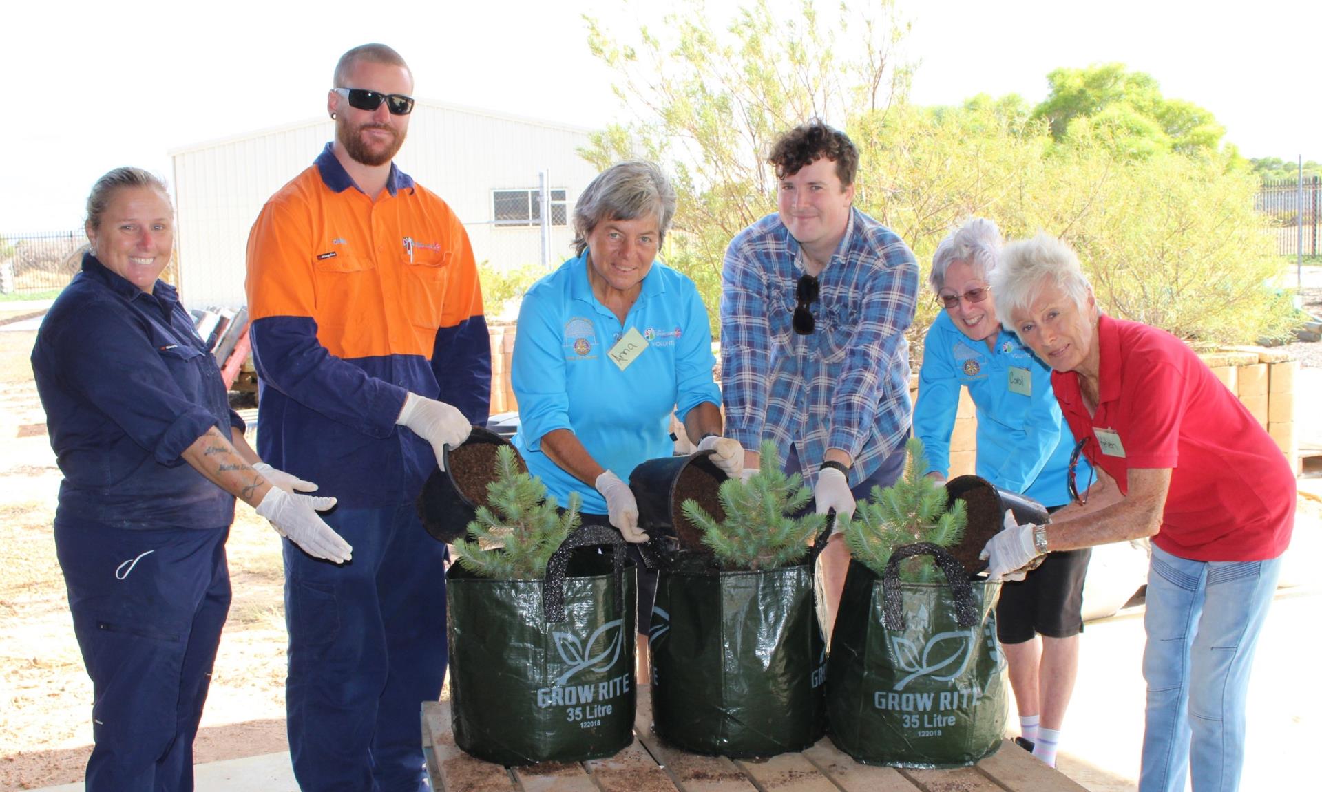 City of Greater Geraldton’s Community Nursery Officer Jeanette Reynolds (from left) and Leading Hand Horticulture Maintenance Chris McKay assist Community Nursery Volunteers Anna Byer, Tobyn Fitch, Carol Davis and Helen Sumpton to pot Lone Pine saplings into 35litre bags, so the plants have room to grow into small trees.