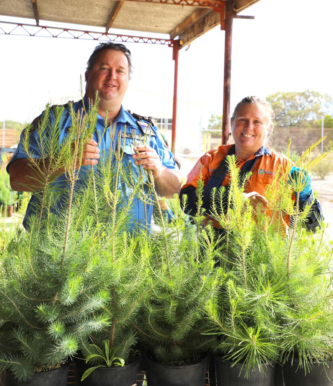Lone Pine planting honours ANZAC history