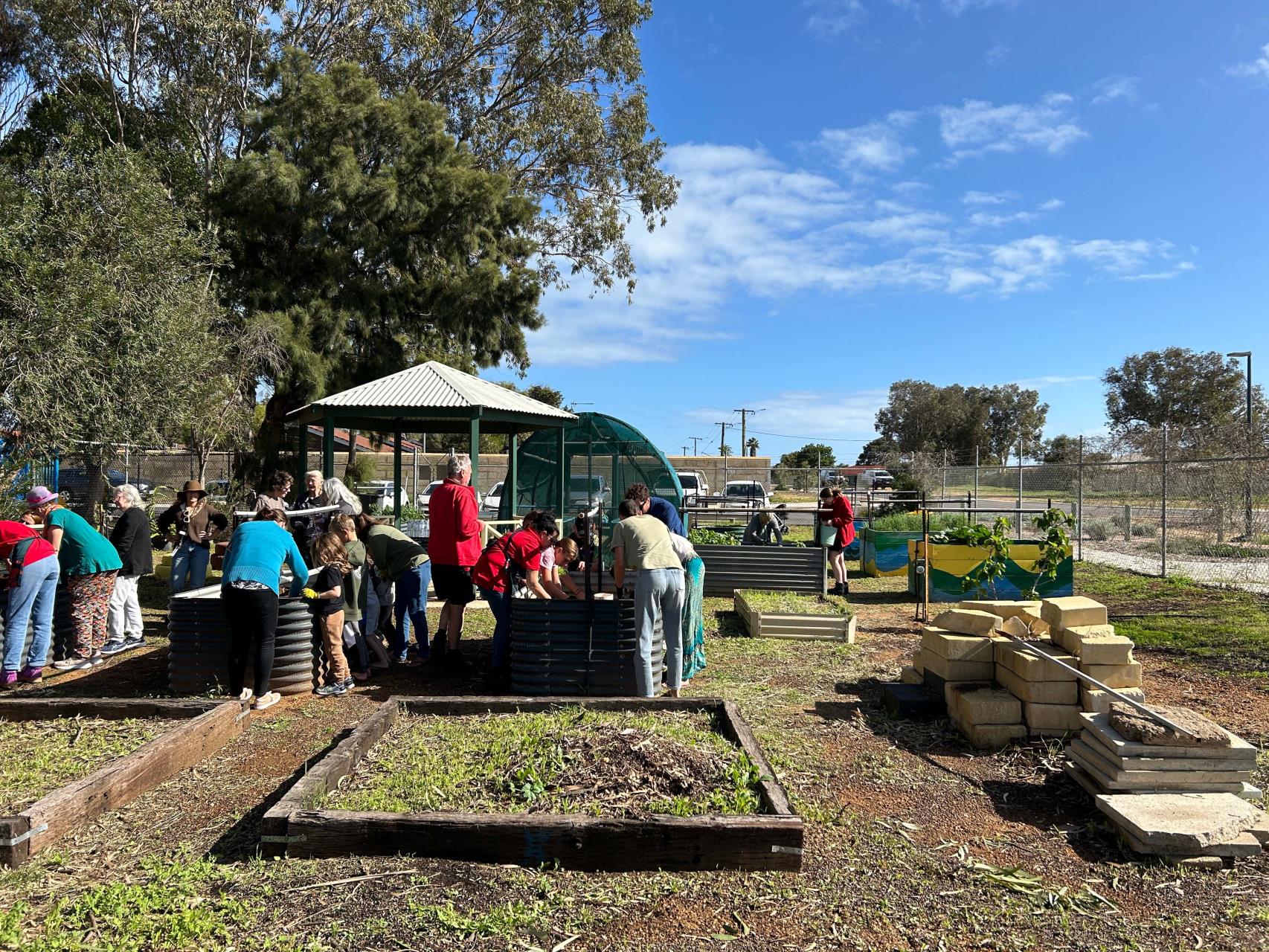 Mitchell Street Community Garden