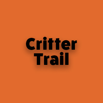 Critter Trail