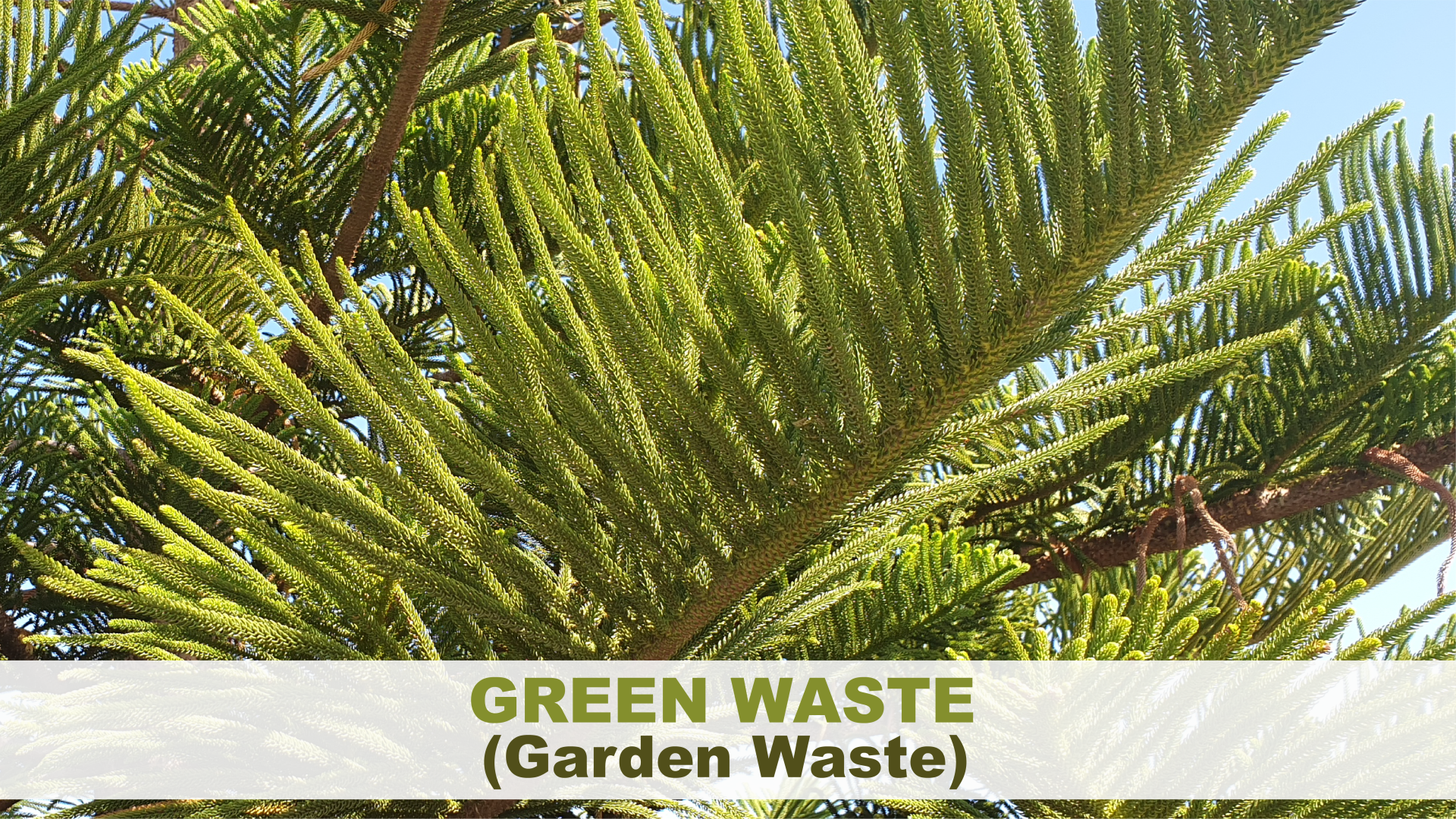 Recycling green waste