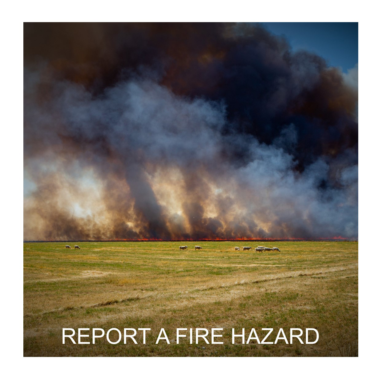 Report a fire hazzard