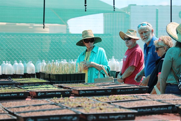 Community Nursery Open Day - Community Nursery tour