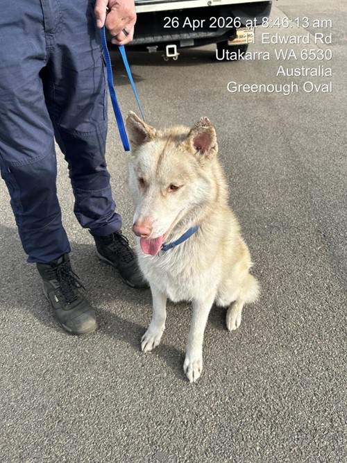 Photo for animal #19552