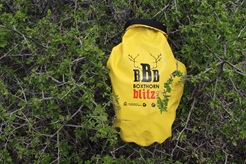Boxthorn Bitz Workshops