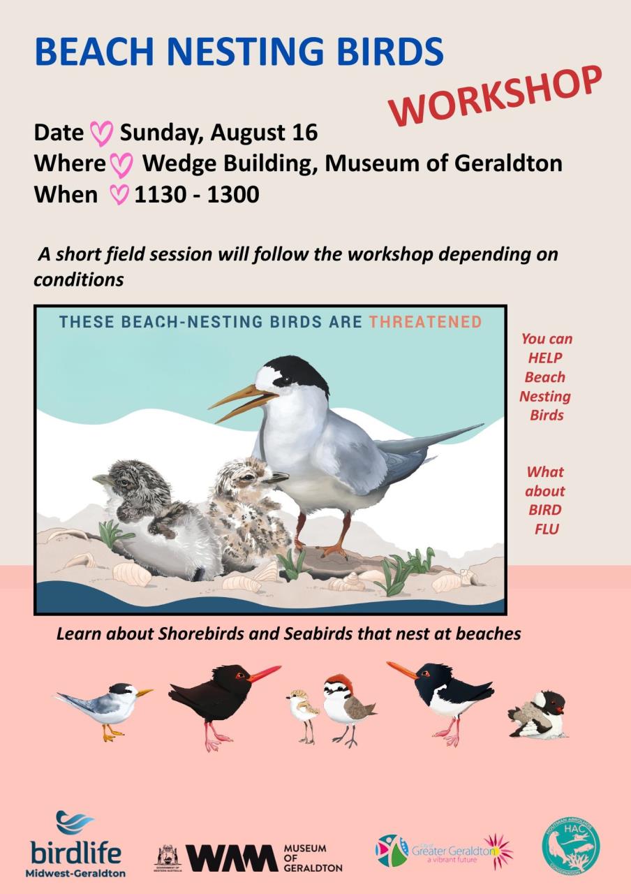 Beach Nesting Birds Workshop