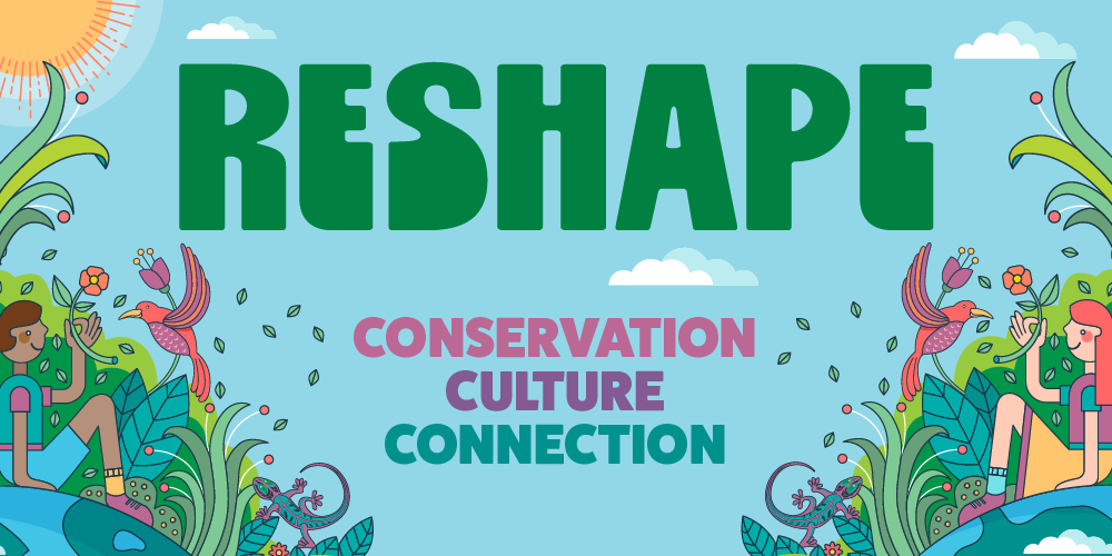 Reshape