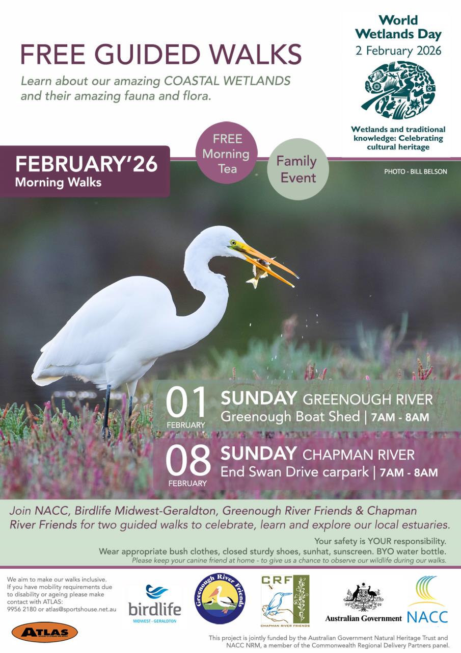 WETLANDS WALKS | Free Guided Walks