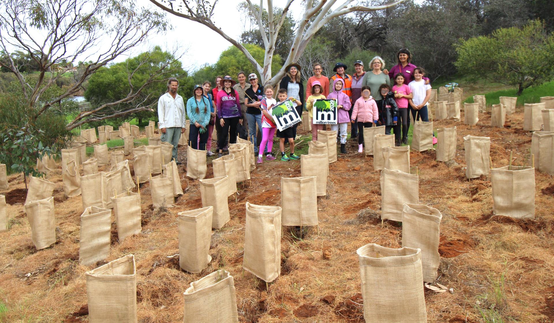Be a part of the green transformation
