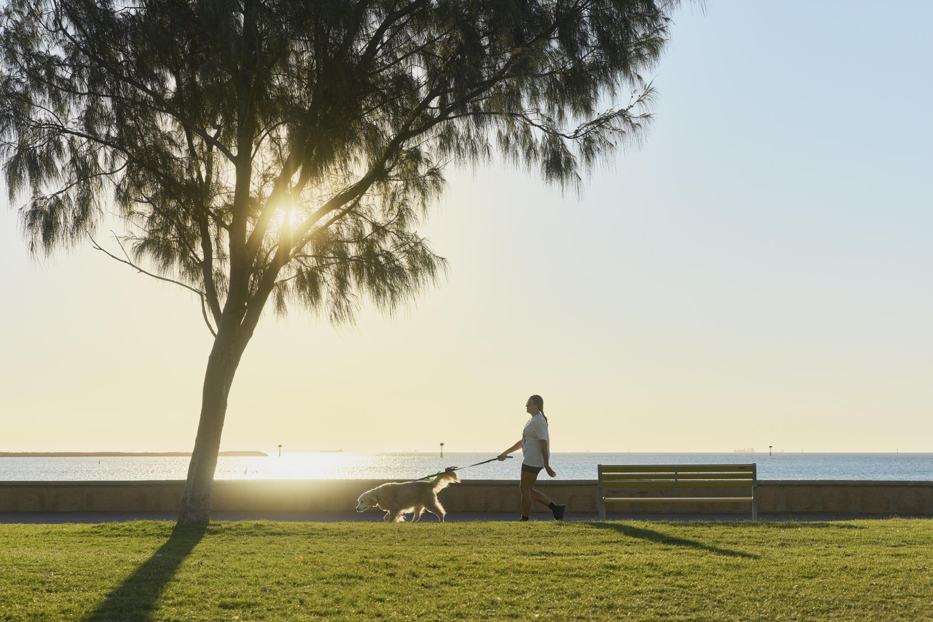 Feedback wanted on Living Well in Greater Geraldton Plan