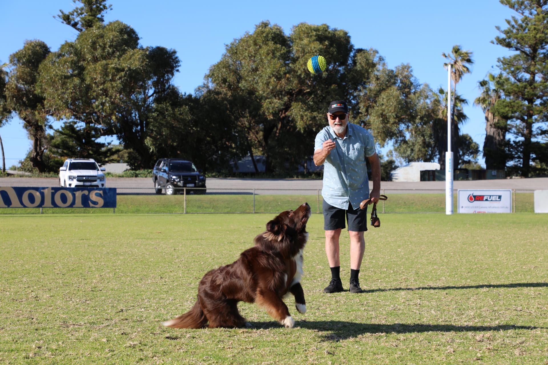 Off-leash trial commences at Rec Ground