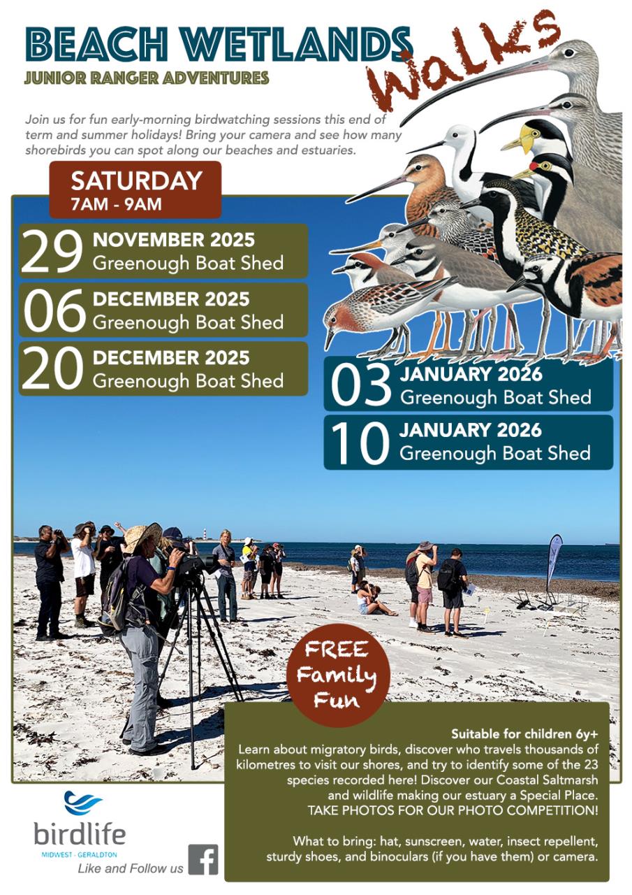 Junior Ranger Adventure Beach Walks