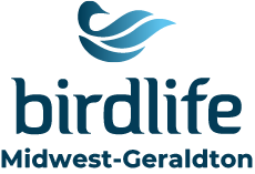 Coastal Bush Bird Walk