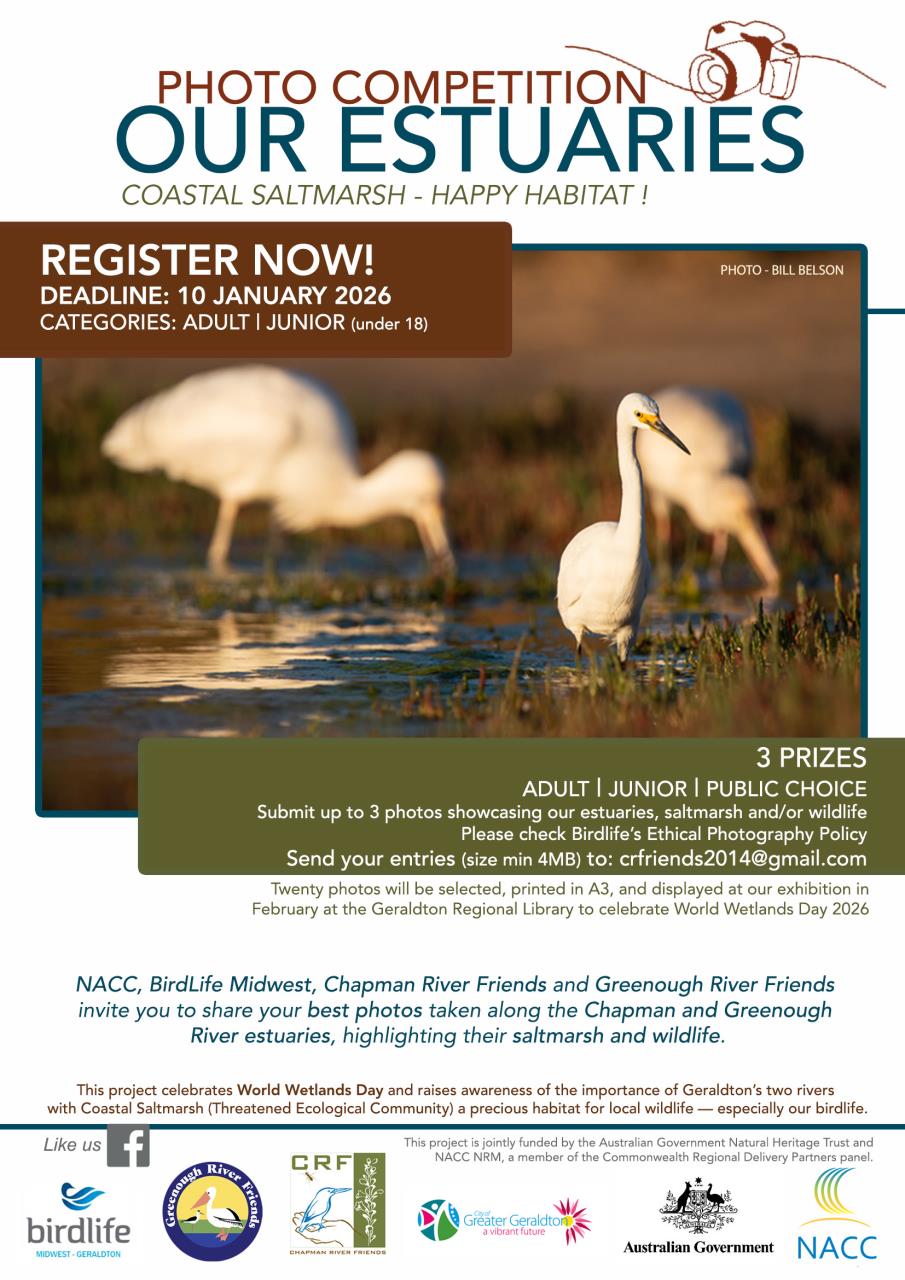 Wetlands Photographic Competition