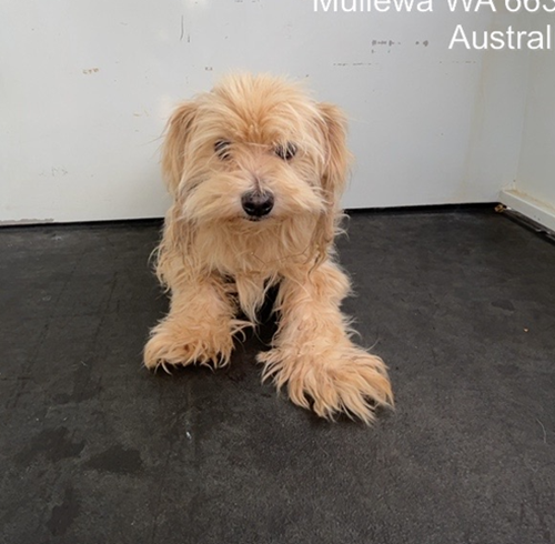 Photo for animal #19574