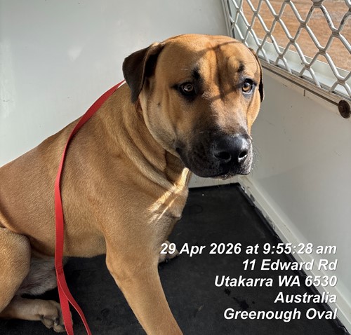 Photo for animal #19573