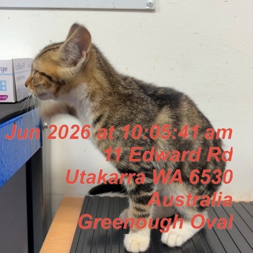 Photo for animal #19767