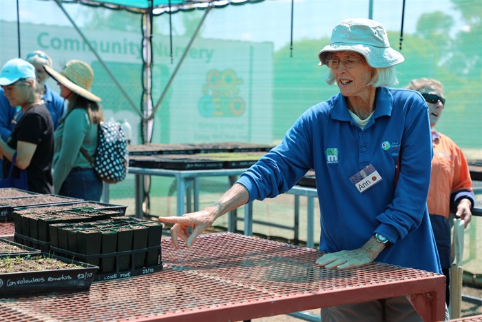 Image Gallery - Volunteer shows off seedlings