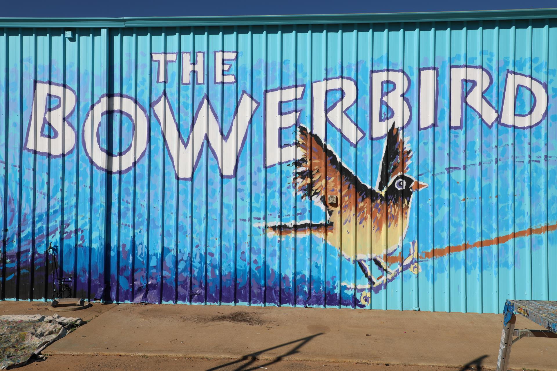 The Bowerbird comes to nest under City ownership