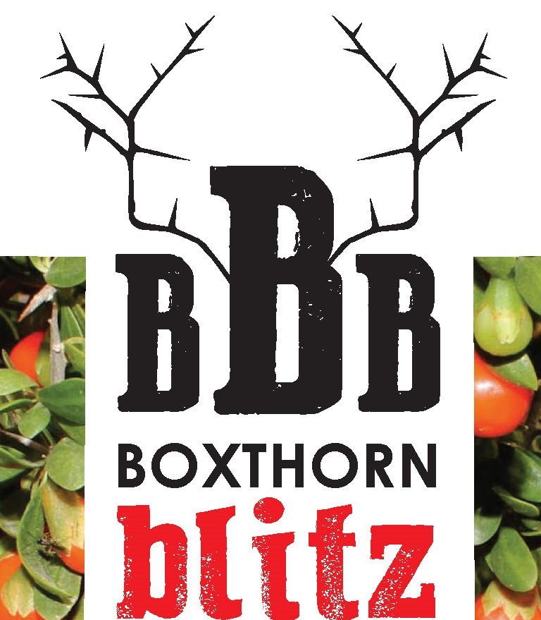 Boxthorn Blitz Workshop