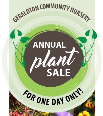 End of year plant sale at Community Nursery