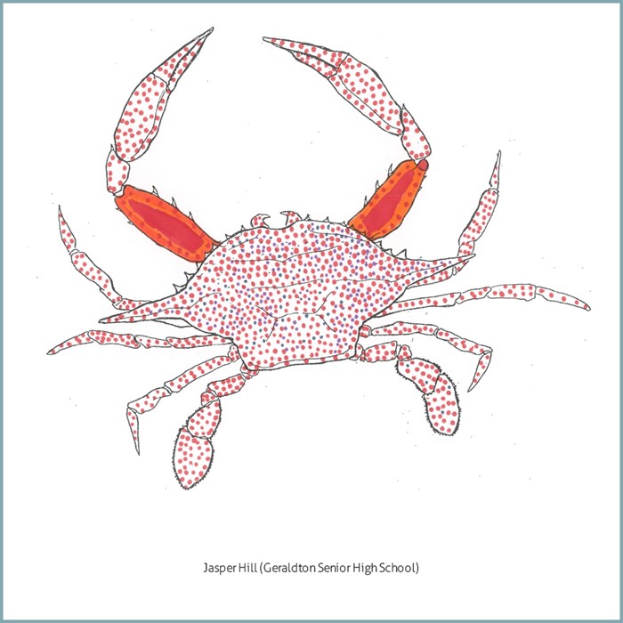 Image Gallery - Jasper Hill Crab GSHS