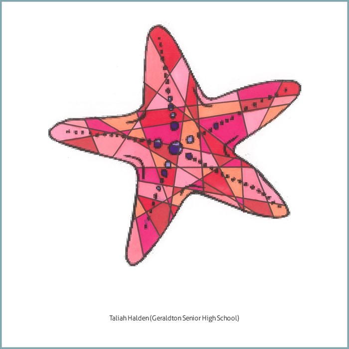 Image Gallery - Taliah Halden starfish GSHS